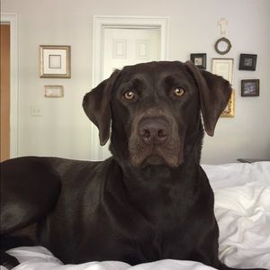 Meet your Posher, Stephen